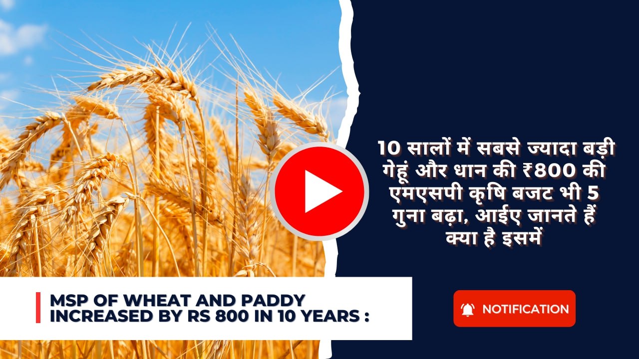 MSP of wheat and paddy increased by Rs 800 in 10 years : 10 सालों में सबसे ज्यादा बड़ी गेहूं और धान की ₹800 की एमएसपी कृषि बजट भी 5 गुना बढ़ा, आईए जानते हैं क्या है इसमें